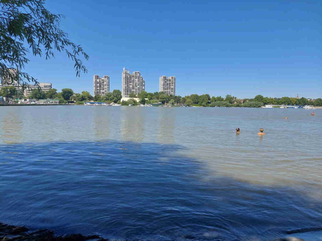 People swimming in the Danube