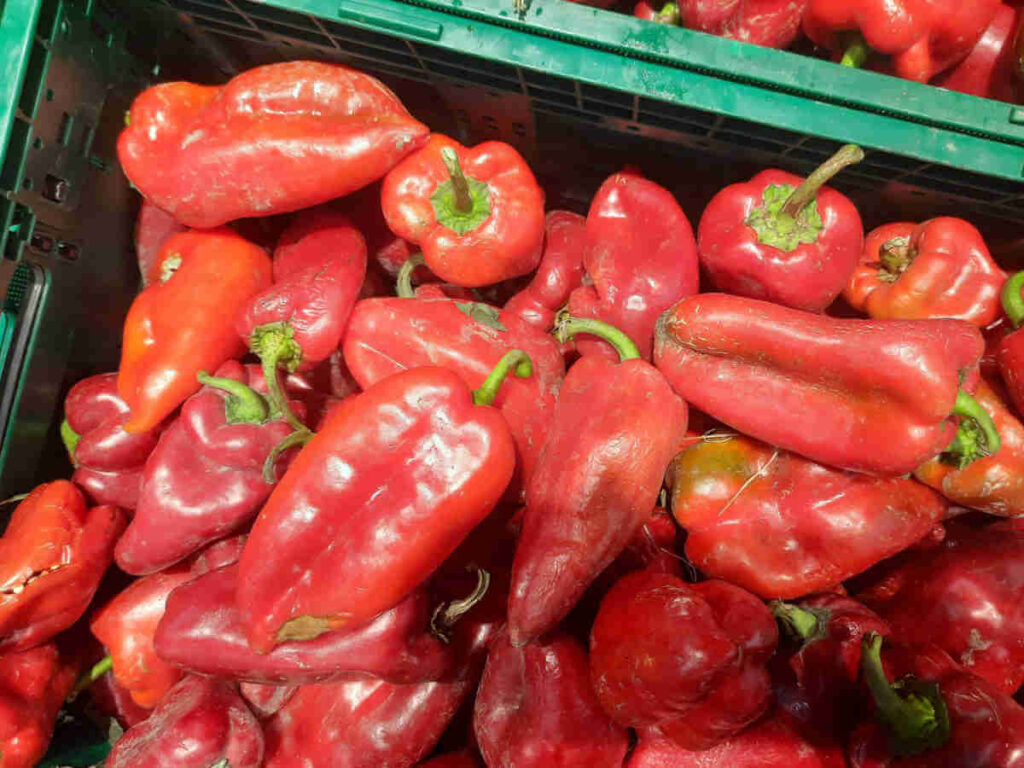 Red peppers for ajvar in a supermarket