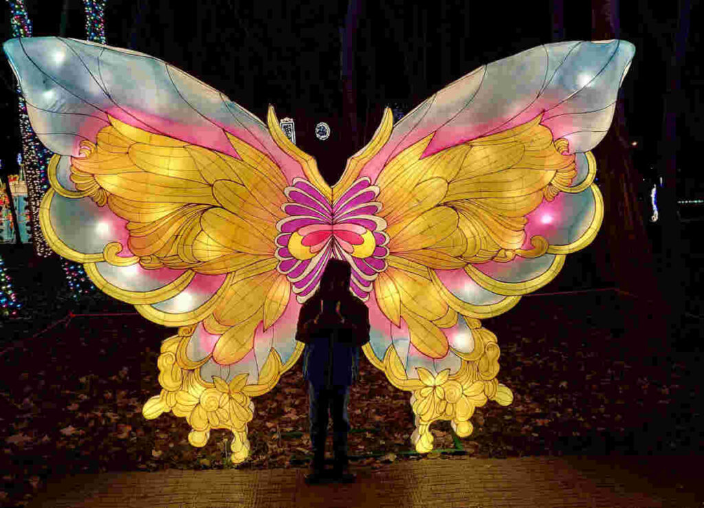 Butterfly light sculpture