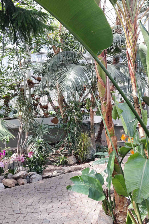 Jevremovac Botanical Garden, greenhouse