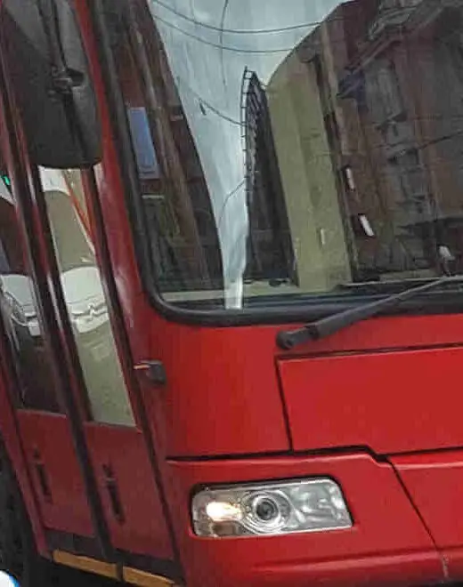 Belgrade Public Transport