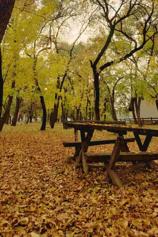 Belgrade autumn