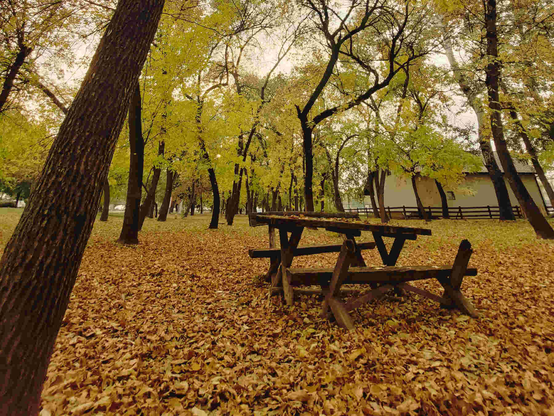 Belgrade Fall Belgrade Autumn Vibes: My Favorite Photos of the City - Be in Belgrade